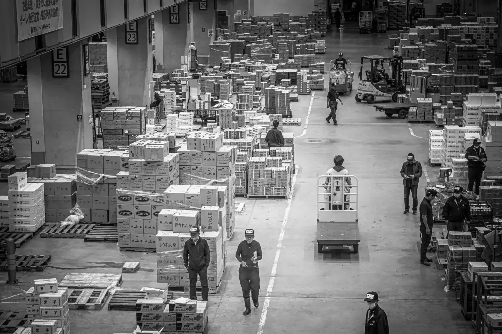 日用品电商本地配送效率提升的关键技术路径分析